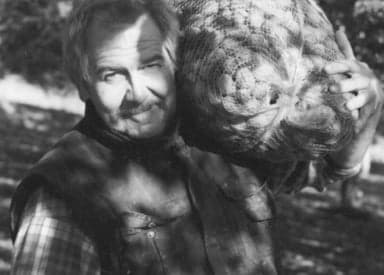 Variétés rapportées d’Amérique du Sud par Bertrand Lassaigne